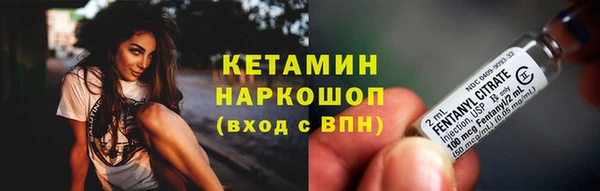 сатива Бронницы