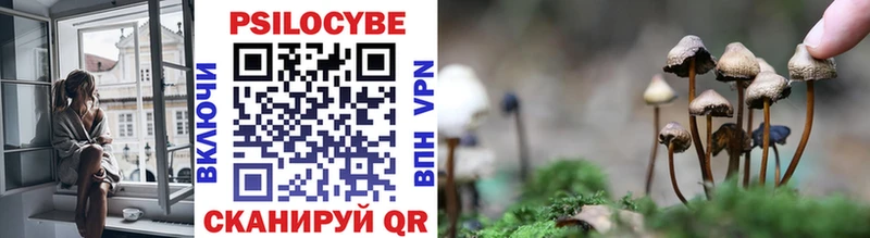 Галлюциногенные грибы Psilocybine cubensis Верхний Уфалей