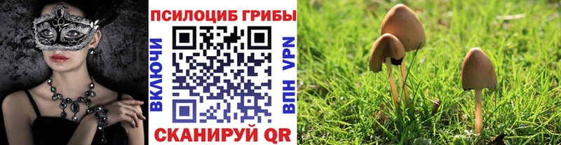 Галлюциногенные грибы Psilocybine cubensis  mega зеркало  Верхний Уфалей 